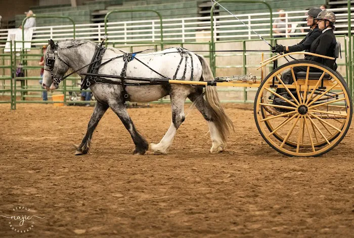 Mountain Point Equine Hospital 4
