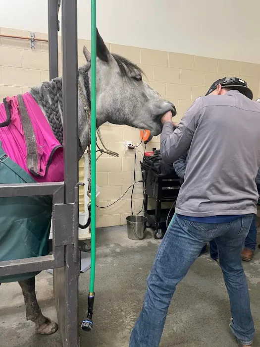 Mountain Point Equine Hospital 3