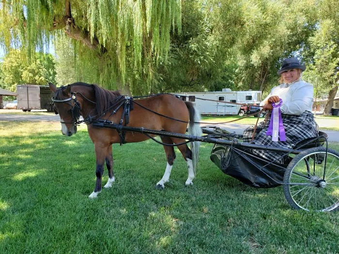 Mountain Point Equine Hospital 6