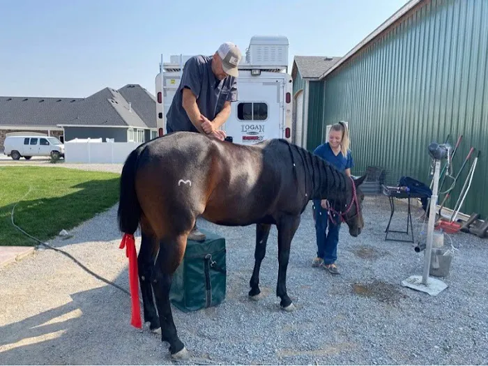 Mountain Point Equine Hospital 8
