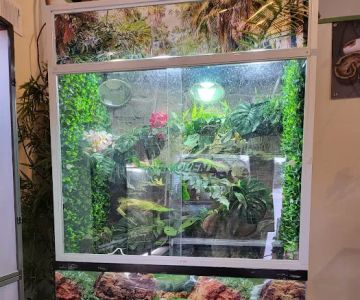 Reptiles, Etc.