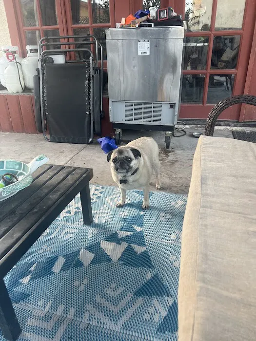Sandy Hill Animal Clinic 7