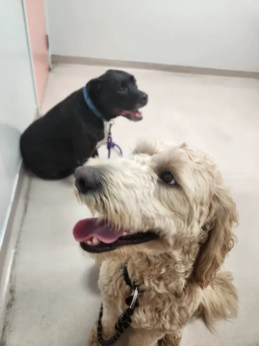 Sandy Hill Animal Clinic 9