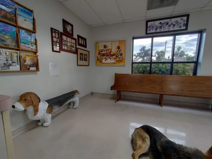Sandy Hill Animal Clinic 4