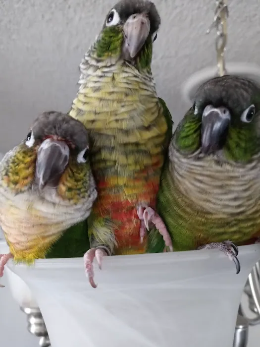 Flamingo Pet Clinic 9