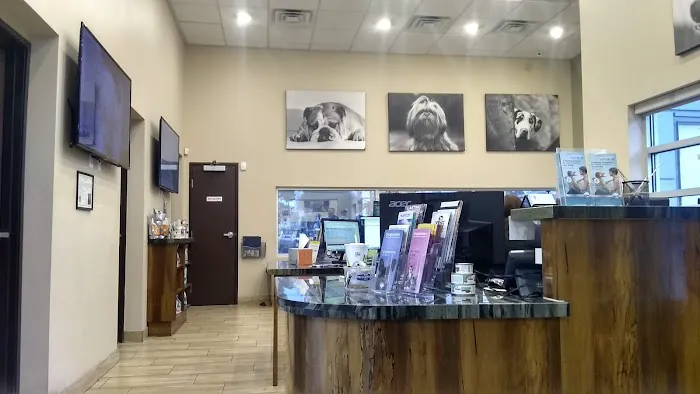 Green Valley Animal Hospital 12
