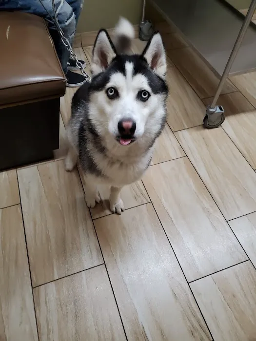 Green Valley Animal Hospital 12