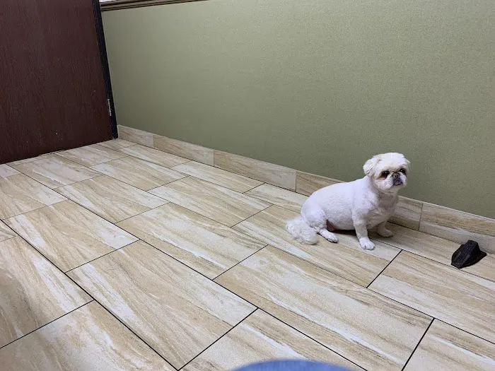 Green Valley Animal Hospital: Rose Jennifer DVM 12