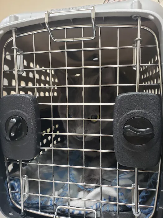Green Valley Animal Hospital: Rose Jennifer DVM 12