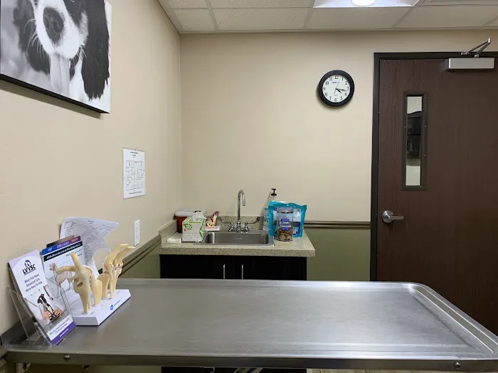 Green Valley Animal Hospital: Rose Jennifer DVM 12