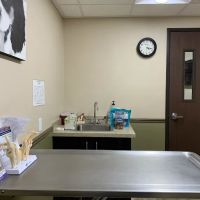 Green Valley Animal Hospital: Rose Jennifer DVM ico