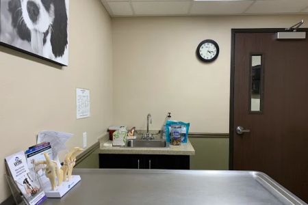 Green Valley Animal Hospital: Rose Jennifer DVM