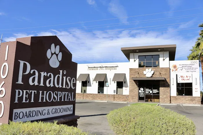 Paradise Pet Hospital 10