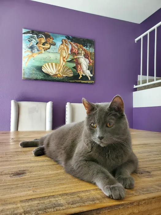 Paradise Pet Hospital 7