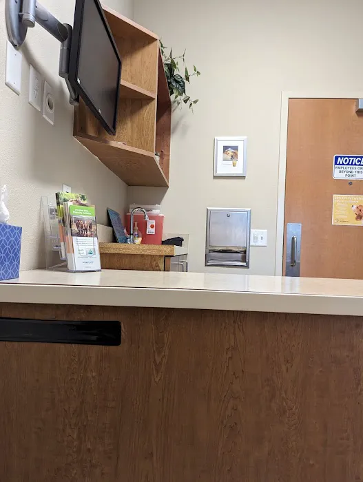 Paradise Pet Hospital 4