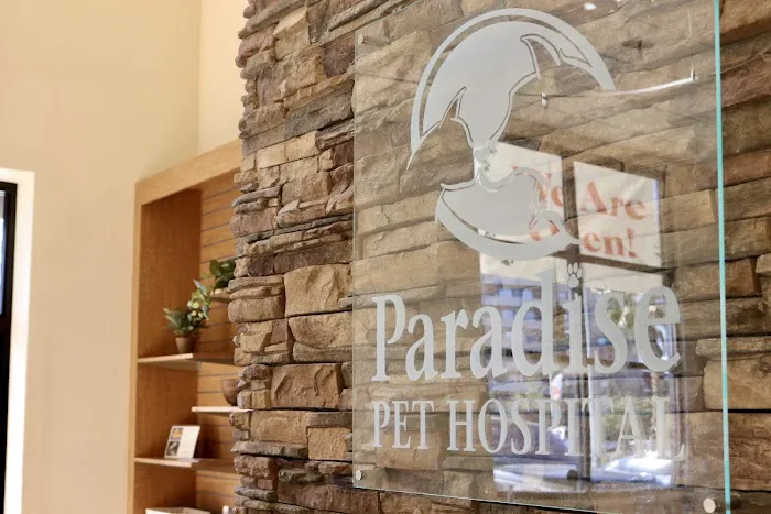 Paradise Pet Hospital 3