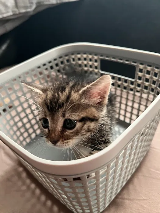 Warm Hearts Pet Hospital 12