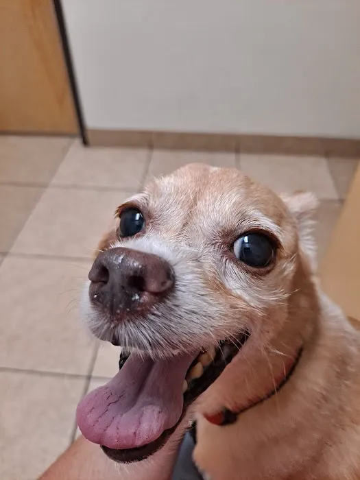Warm Hearts Pet Hospital 12