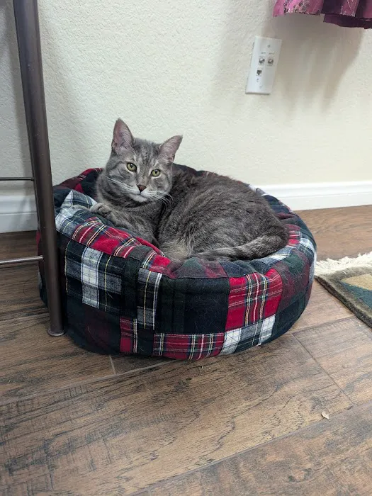 Warm Hearts Pet Hospital 12