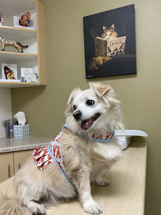 Warm Hearts Pet Hospital 12