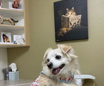 Warm Hearts Pet Hospital