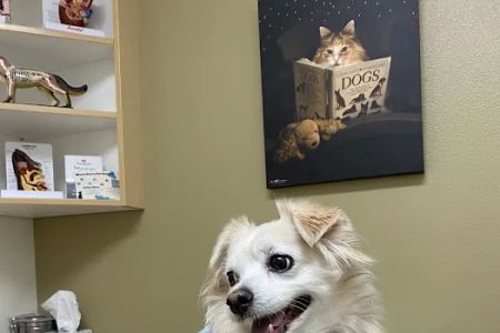 Warm Hearts Pet Hospital