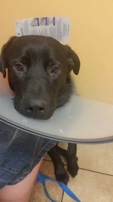 Banfield Pet Hospital 12