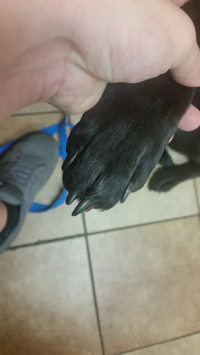 Banfield Pet Hospital 12