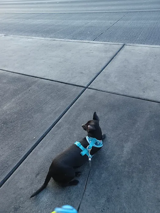 Banfield Pet Hospital 12