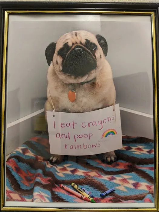 Valley Ranch Animal Hospital: Gershung Tara DVM 12