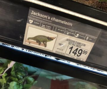 Petco