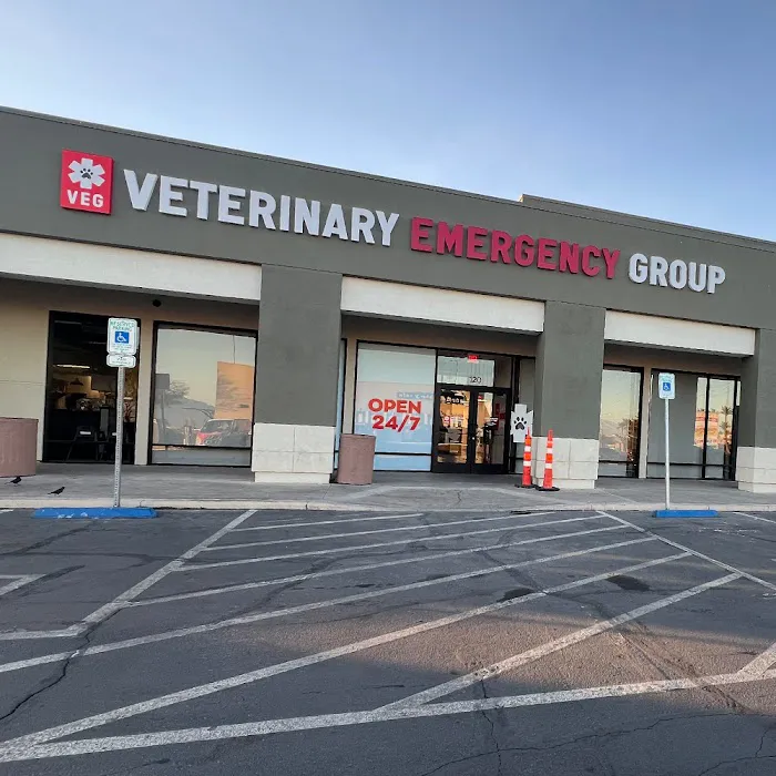 Veterinary Emergency Group 12