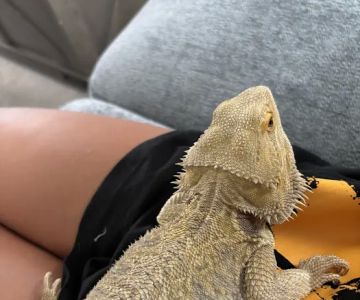 Columbus Reptile Expo