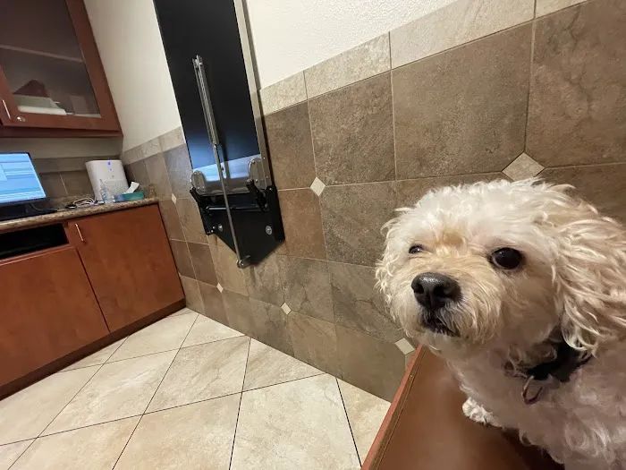 Craig Road Animal Hospital 6