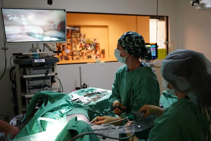 Veterinary Opportunities for Students | V.O.S 6