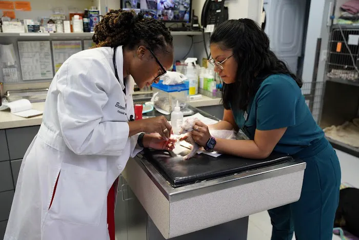 Veterinary Opportunities for Students | V.O.S 1