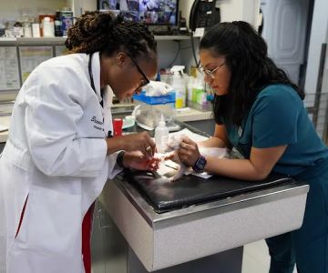 Veterinary Opportunities for Students | V.O.S