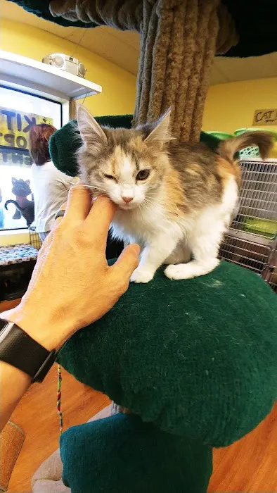 Caring Hands Animal Hospital 2