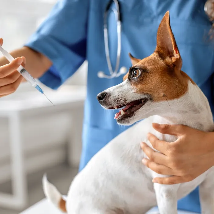 Caring Hands Animal Hospital 6