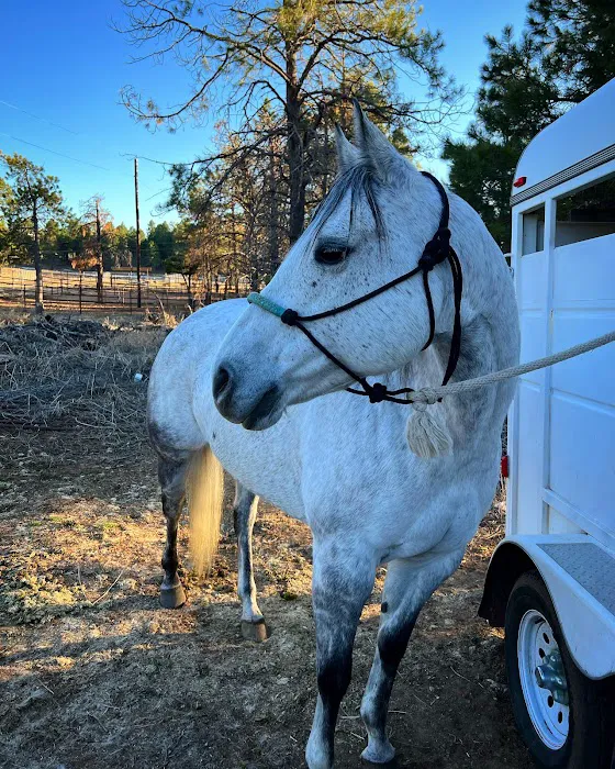 Desert Pines Equine Center 4