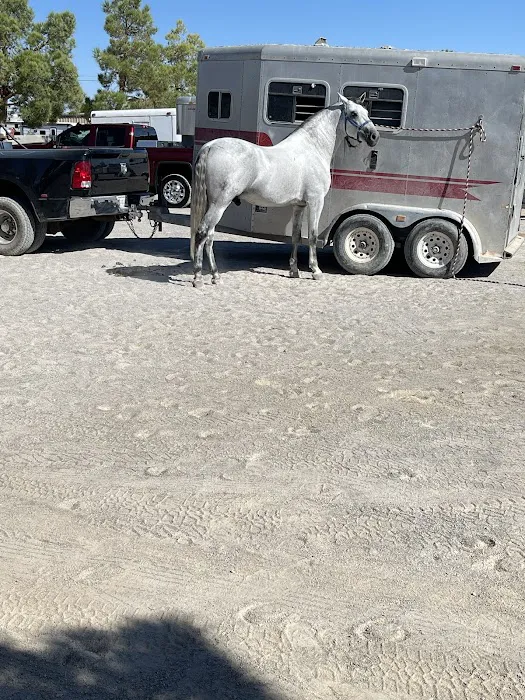 Desert Pines Equine Center 7