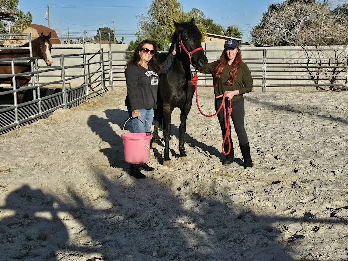 Desert Pines Equine Center 6
