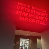 Veterinary Emergency + Critical Care North Rainbow ico