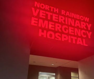 Veterinary Emergency + Critical Care North Rainbow