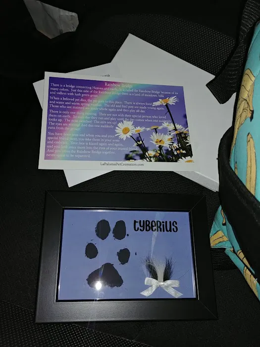 Veterinary Emergency + Critical Care North Rainbow 7