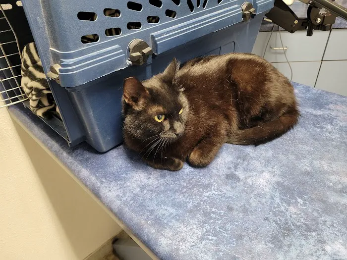 Animal Kindness Veterinary Hospital 1