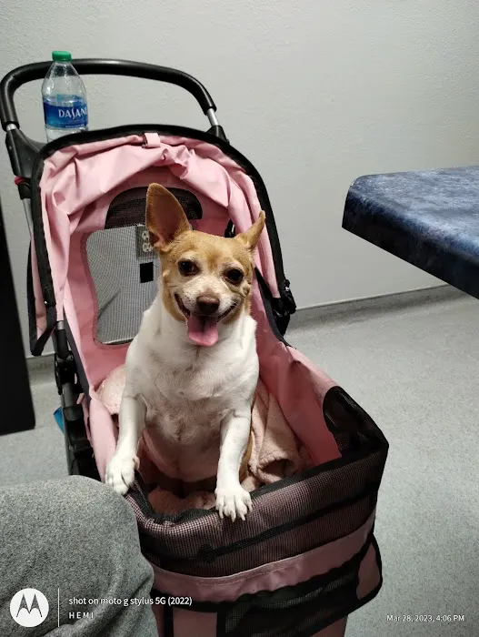 Animal Kindness Veterinary Hospital 7