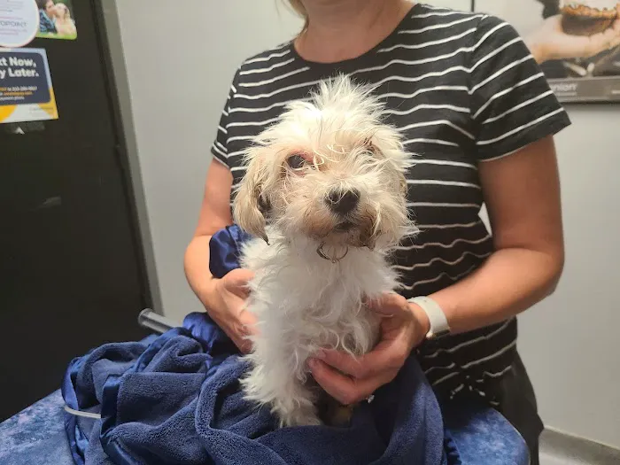 Animal Kindness Veterinary Hospital 3