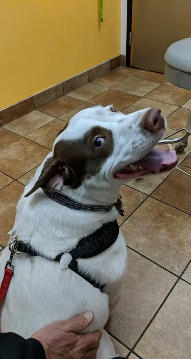 Banfield Pet Hospital 1