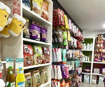 All Paws Pet Shop